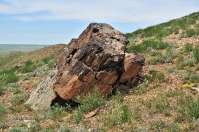 Гора Буркутбай