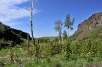 Урочище Каменные Ворота