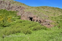 Урочище Каменные Ворота