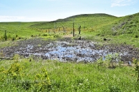 Урочище Каменные Ворота