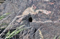 Шубинские гранатовые эклогиты. Май 2013 года