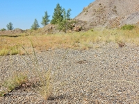 Разрез Рысаевского карьера. Июль 2016 года