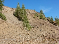 Разрез Рысаевского карьера. Июль 2016 года