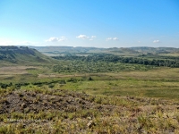 Разрез Рысаевского карьера. Июль 2016 года