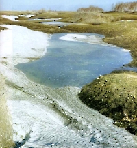 Кзыладырское карстовое поле