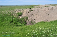 Кзыладырское карстовое поле. Май 2013 года