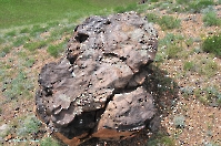 Кзыладырское карстовое поле. Май 2013 года