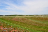 Кзыладырское карстовое поле. Май 2013 года