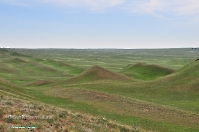 Кзыладырское карстовое поле. Май 2013 года