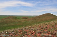 Кзыладырское карстовое поле. Май 2013 года