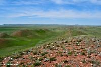 Кзыладырское карстовое поле. Май 2013 года