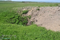 Кзыладырское карстовое поле. Май 2013 года