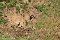 Кзыладырское карстовое поле. Май 2013 года