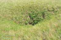 Кзыладырское карстовое поле. Май 2013 года