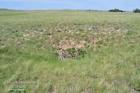 Кзыладырское карстовое поле. Май 2013 года