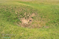 Кзыладырское карстовое поле. Май 2013 года