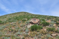 Кзыладырское карстовое поле. Май 2013 года