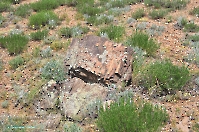 Кзыладырское карстовое поле. Май 2013 года