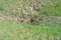 Кзыладырское карстовое поле. Май 2013 года