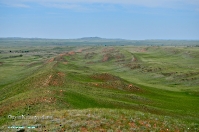 Кзыладырское карстовое поле. Май 2013 года