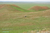 Кзыладырское карстовое поле. Май 2013 года