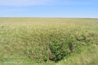 Кзыладырское карстовое поле. Май 2013 года