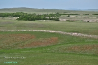 Кзыладырское карстовое поле. Май 2013 года