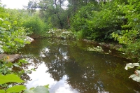 Ущелье Каменные ворота на р. Губерле