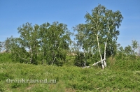 Карагайский бор и ущелье на реке Губерле