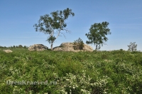 Карагайский бор и ущелье на реке Губерле