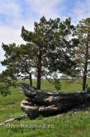 Карагайский бор и ущелье на реке Губерле