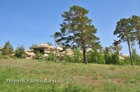 Карагайский бор и ущелье на реке Губерле