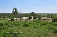 Карагайский бор и ущелье на реке Губерле