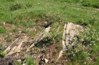 Карагайский бор и ущелье на реке Губерле