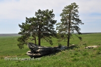 «Парусник» Карагайский бор и ущелье на реке Губерле