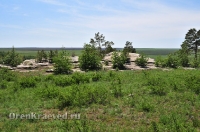 Карагайский бор и ущелье на реке Губерле