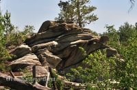 Карагайский бор и ущелье на реке Губерле