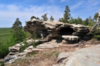 Карагайский бор и ущелье на реке Губерле