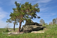 Карагайский бор и ущелье на реке Губерле