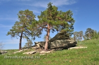 Карагайский бор и ущелье на реке Губерле