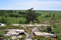 Карагайский бор и ущелье на реке Губерле