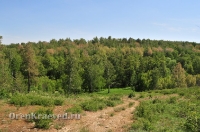 Карагайский бор и ущелье на реке Губерле