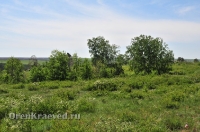 Карагайский бор и ущелье на реке Губерле