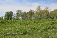 Карагайский бор и ущелье на реке Губерле