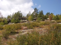 Карагайский бор и ущелье на реке Губерле