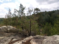 Карагайский бор и ущелье на реке Губерле