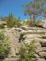 Скала «Черепаха» Карагайский бор и ущелье на реке Губерле