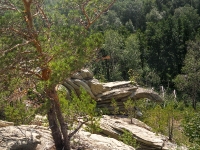 Скала «Черепаха» Карагайский бор и ущелье на реке Губерле