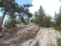 Карагайский бор и ущелье на реке Губерле