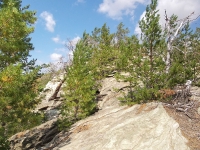 Карагайский бор и ущелье на реке Губерле